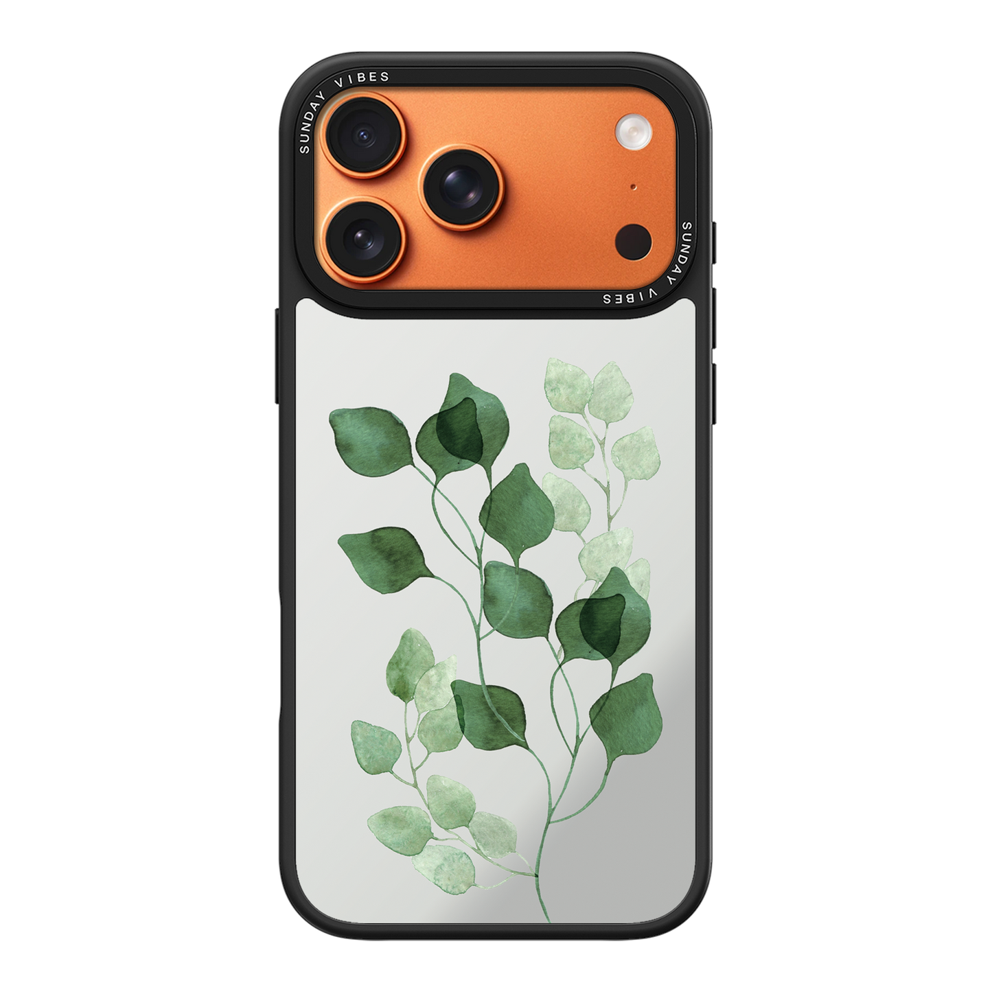 Eucalyptus Dream iPhone Case
